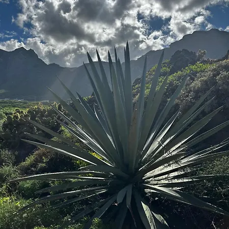 Terraza Con Vistas Mar/montana Buenavista del Norte